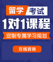 操逼视频忍痛的声音留学考试一对一精品课